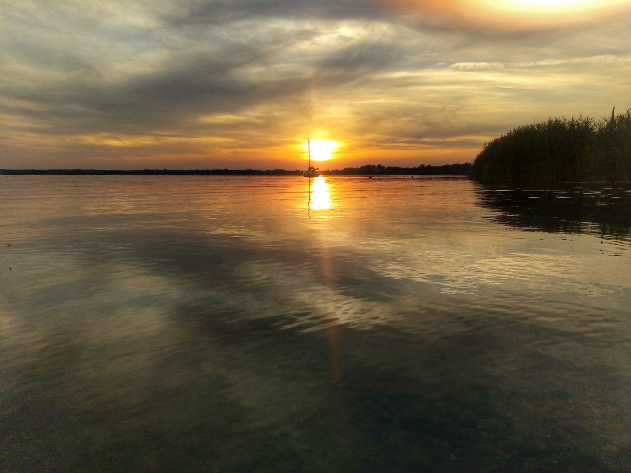 IMG-20220302-WA0005